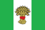Flag of Ostau