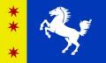 State flag of Frießen