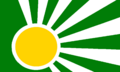 EUOIA flag proposal01c.png