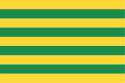 Nine alternating horizontal stripes of yellow and green.