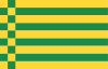 Canton flag of Alta Navenna