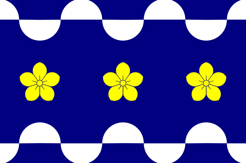 File:Flag of Poro Vai.svg
