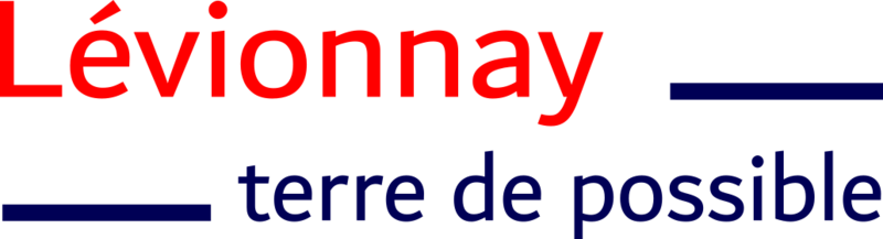 File:Logo levionnay com.png