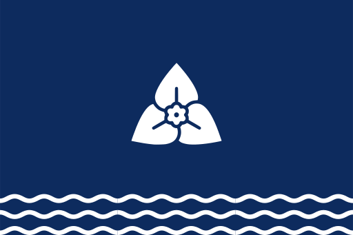 File:Flag of Haivin.svg