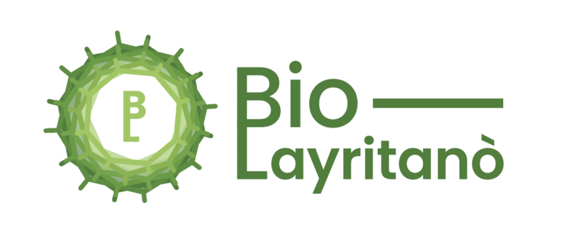 File:Bio-Layr Logo.png